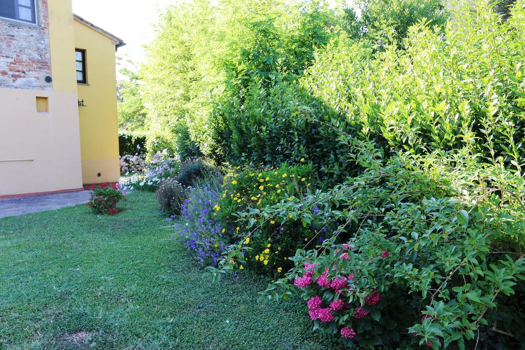 Agriturismo Poggio Al Tesoro Crespina Exterior photo